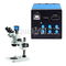 Uzun çalışma mesafesi Dijital Stereo Zoom Mikroskopu Yüksek Göz Noktası Büyütme 7X - 45X Tedarikçi