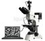 Metalurjik Mikroskoplar İçin Metalografik Görüntü Analiz Yazılımı MetaVision